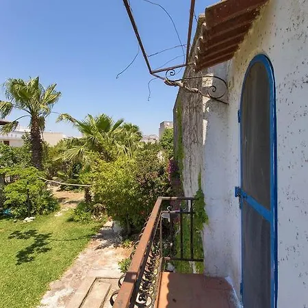 Liliana Villa
