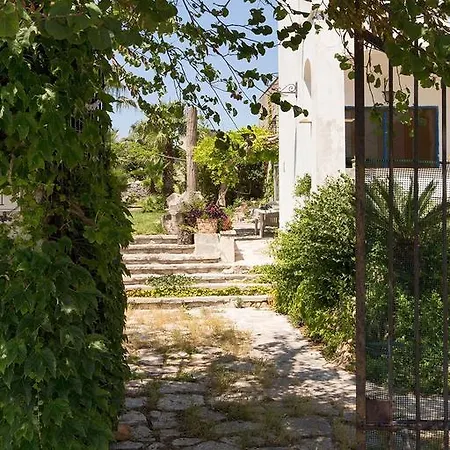 Liliana Villa *