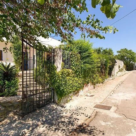 Liliana Villa *